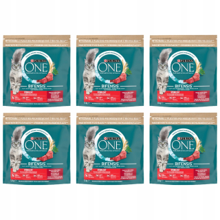 Purina ONE suché krmivo pre hovädzie mäso 1,5 kg